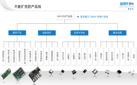 維安產(chǎn)品線(電路保護(hù)/功率半導(dǎo)體/IC產(chǎn)品/智控方案)